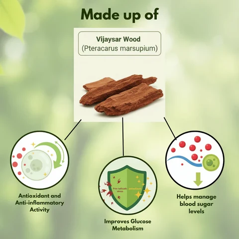 Vijaysar wood Pterocarpus marsupium traditional wellness benefits infographic